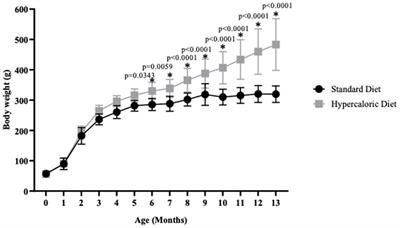 Chronic consumption of a hypercaloric diet increases neuroinflammation and brain senescence, promoting cognitive decline in middle-aged female Wistar rats